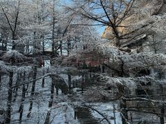 -崂山巨峰游览区