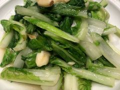 炒快菜-一轩饺子馆(丽都店)