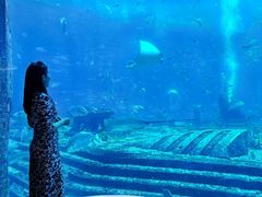 -OSSIANO奥西亚诺海底餐厅