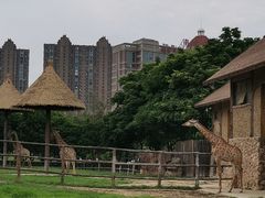 -南昌动物园