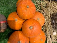 -老阿爸江浙土菜(奥体中心店)