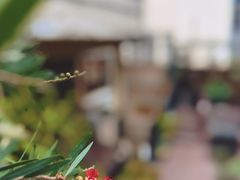 -南园民国茶楼餐厅·常州菜(北大街店)