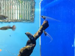 -多彩贵州城极地海洋世界