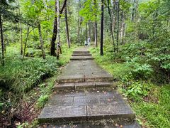 -汤旺河林海奇石景区