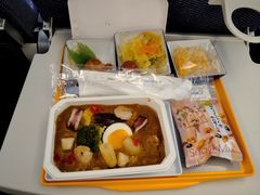 -全日本空输株式会社(上海办事处)