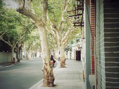 -小团圆糖水铺(襄阳南路店)