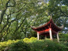 -天一阁博物院