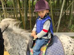 -太阳岛度假酒店