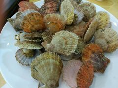 -海岛渔村大酒店(云霄路店)