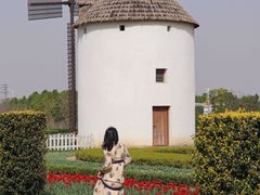 -金卉庄园