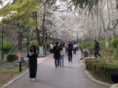 -济南植物园