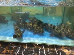 -上和臻品中国菜(花园街店)