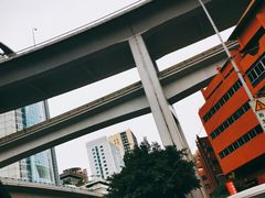 -菜园坝水果市场