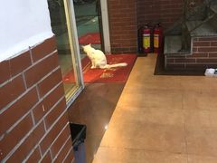 -沙湾姜撞奶甜品店(昌岗中路店)