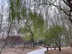 -仁和公园(顺义区)