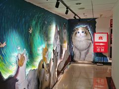 -猫腻·猫咖·撸猫馆(星光大道店)