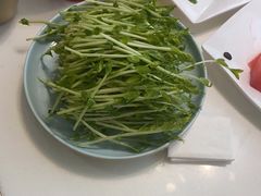 -洪氏嗨捞·猪肚鸡火锅(阳光天地店)