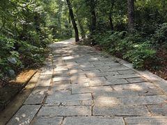 -宝通禅寺