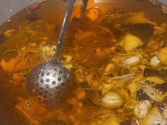 -辣婆婆(航天桥店)