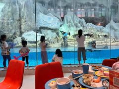 -帝企鹅自助餐厅•儿童岛•真企鹅(长隆企鹅酒店)