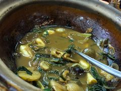 田螺鸡煲-古榕农庄·桑拿簸箕菜·招牌泥焗鸡(清远长隆店)