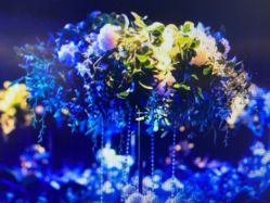 -格乐利雅婚礼艺术中心(南外滩店)