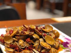 -福苗小骆驼烧烤(大唐不夜城店)