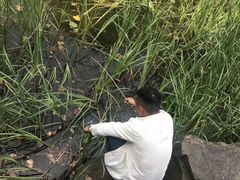 -花溪公园