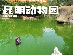 -昆明动物园