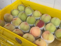 -老袁家蜜桃农场·阳山水蜜桃