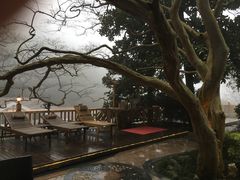 -黄山温泉国际旅游度假区