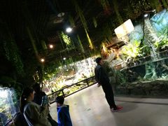 -萌宠奇缘