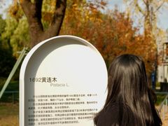 -中山公园