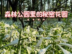 -森林公园(尖草坪区)