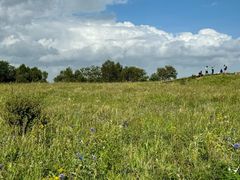 -白草畔自然风景区