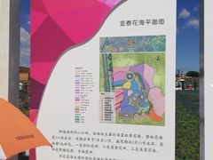 -莲花山花海
