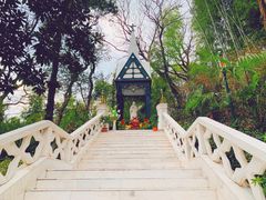 -上海佘山国家森林公园西佘山园