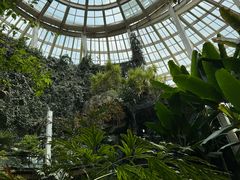 -昆明植物园