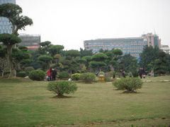 -南宁南湖公园