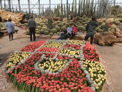 -南通洲际绿博园