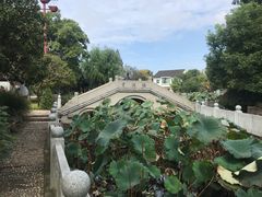 -丝绸小镇荻港古村