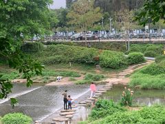 -深圳市罗湖体育馆