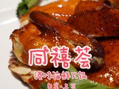 -同禧荟·港味海鲜火锅·粤菜(三亚湾店)