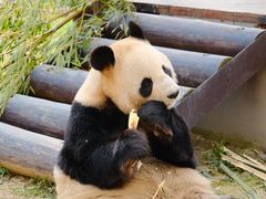 -杭州野生动物世界