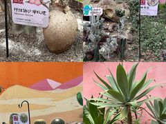 -正佳雨林生态植物园