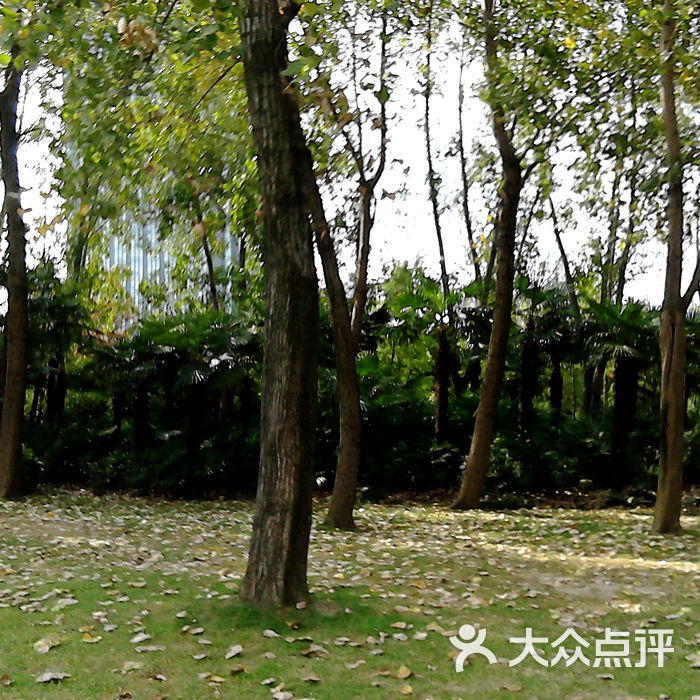 虹桥健身休闲绿地