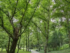 -采石矶景区