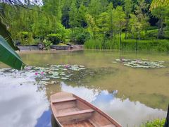 -云溪植物园