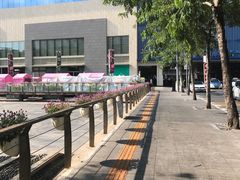 -润园四季椰子鸡火锅(南山海岸城店)