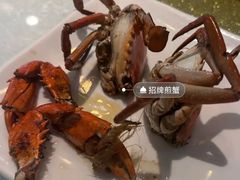 -莲花公园煎蟹(总店)